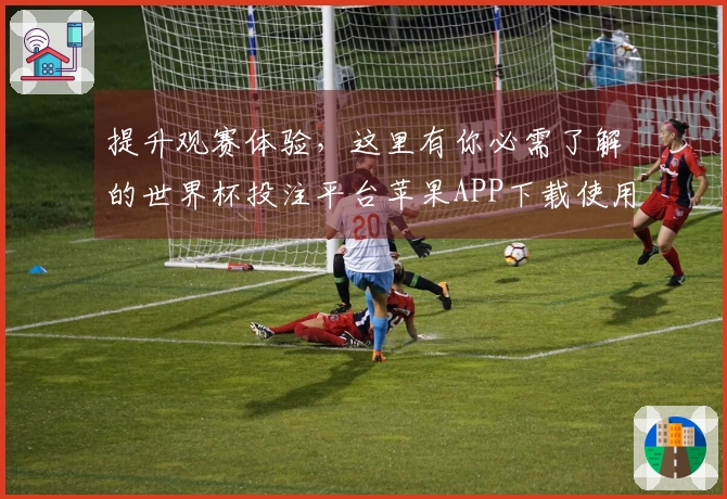 提升观赛体验，这里有你必需了解的世界杯投注平台苹果APP下载使用技巧分享