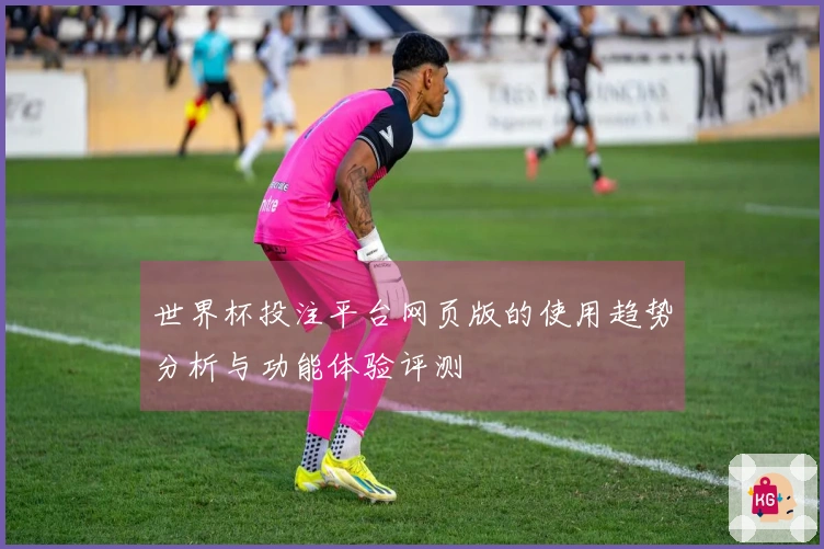世界杯投注平台网页版的使用趋势分析与功能体验评测