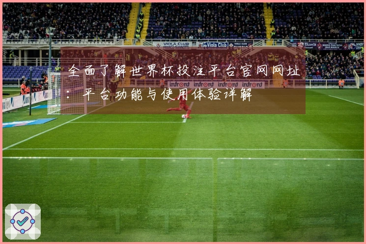 全面了解世界杯投注平台官网网址：平台功能与使用体验详解