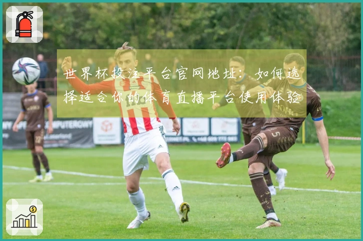 世界杯投注平台官网地址：如何选择适合你的体育直播平台使用体验指南