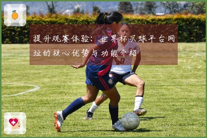 提升观赛体验：世界杯买球平台网址的核心优势与功能介绍