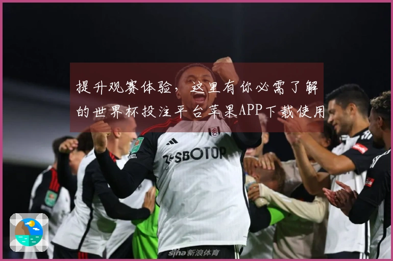 提升观赛体验，这里有你必需了解的世界杯投注平台苹果APP下载使用技巧分享