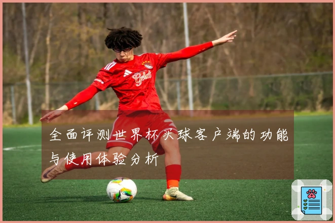 全面评测世界杯买球客户端的功能与使用体验分析