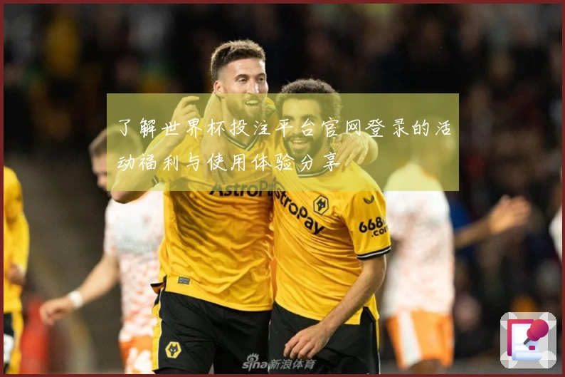 了解世界杯投注平台官网登录的活动福利与使用体验分享