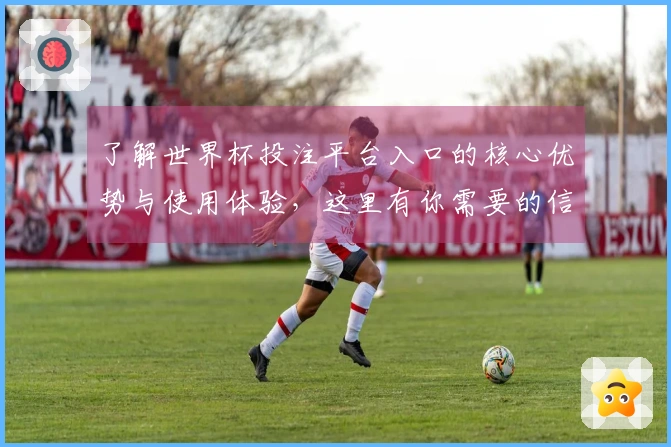 了解世界杯投注平台入口的核心优势与使用体验，这里有你需要的信息