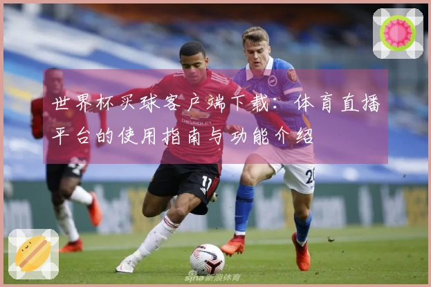 世界杯买球客户端下载：体育直播平台的使用指南与功能介绍