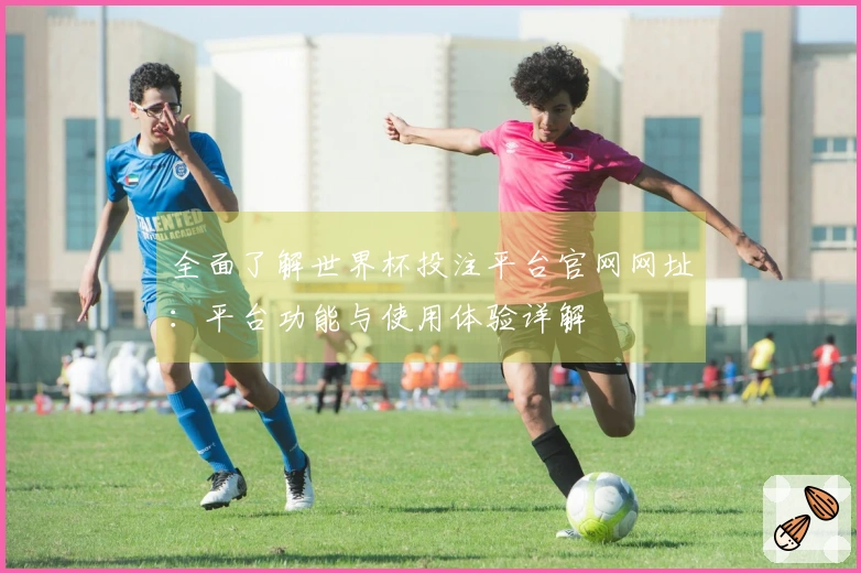 全面了解世界杯投注平台官网网址：平台功能与使用体验详解