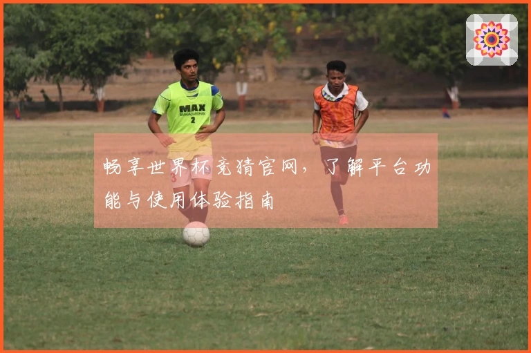 畅享世界杯竞猜官网，了解平台功能与使用体验指南