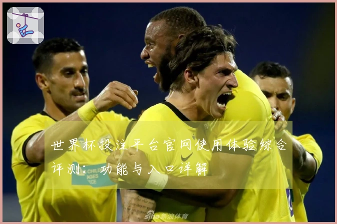 世界杯投注平台官网使用体验综合评测：功能与入口详解